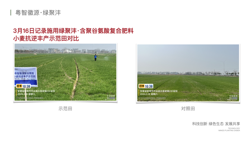 绿聚沣产品示范案例 2.007.png