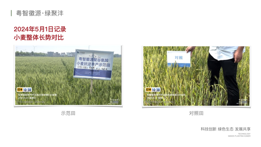 绿聚沣产品示范案例 2.010.png