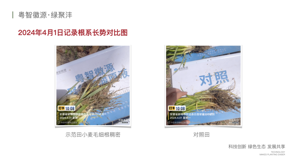 绿聚沣产品示范案例 2.009.png