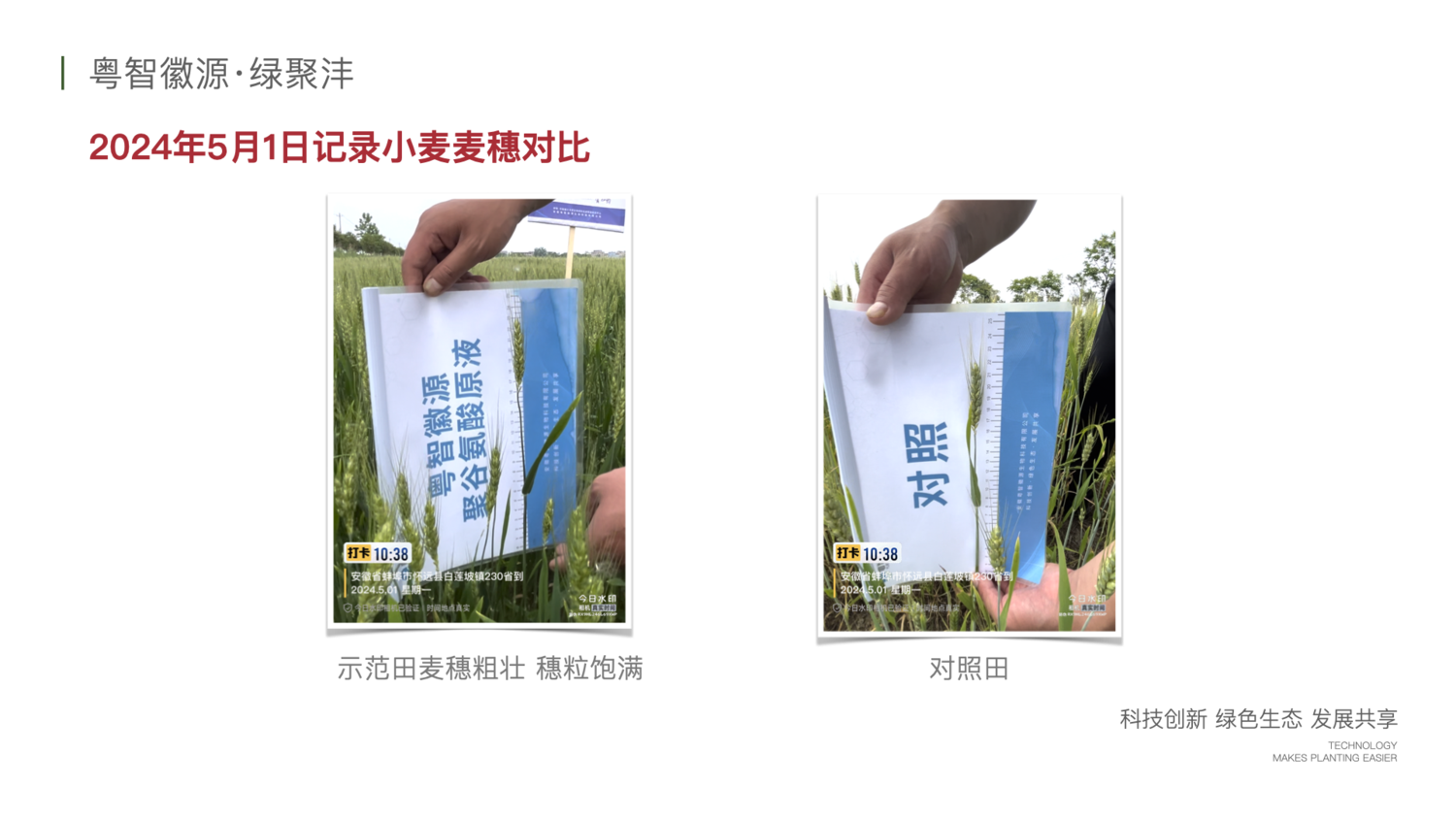 绿聚沣产品示范案例 2.011.png