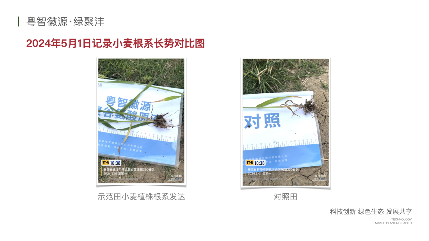 绿聚沣产品示范案例 2.012.png